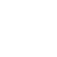 Page Icon