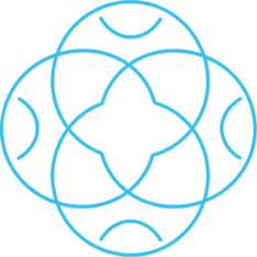 Page Icon