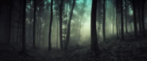mystic_grove_bg_d